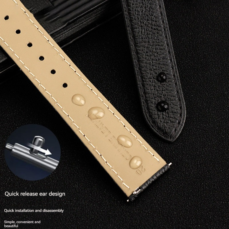 16/17/19/20/22/23mm Quick Rele - Cartier Watch Santos recensie en prijs