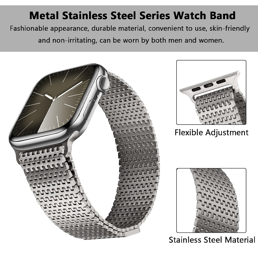 Titanium lusband voor Apple Wa - Milanese Loop Magnetic recensie en prijs